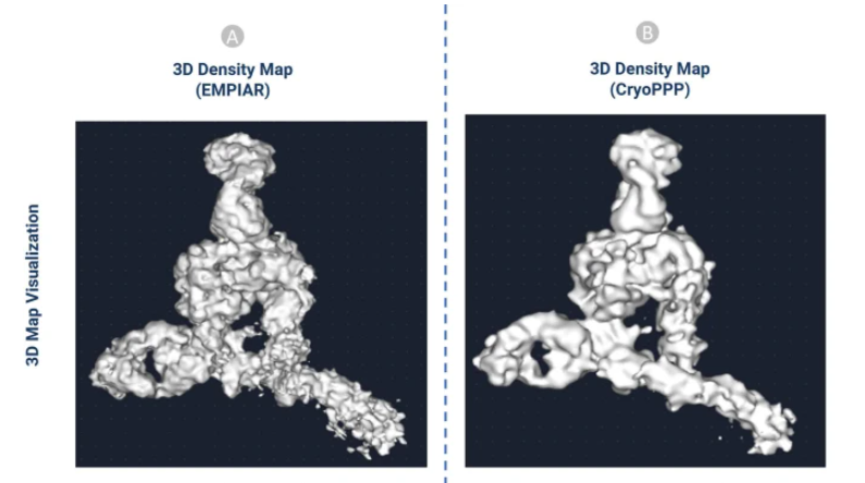 Cryo-EM Dataset Publication