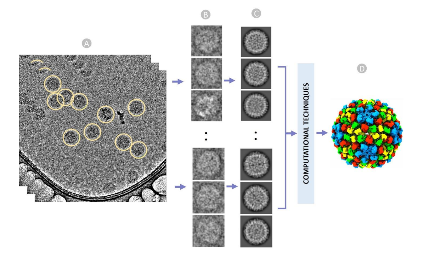 CryoVirusDB Publication