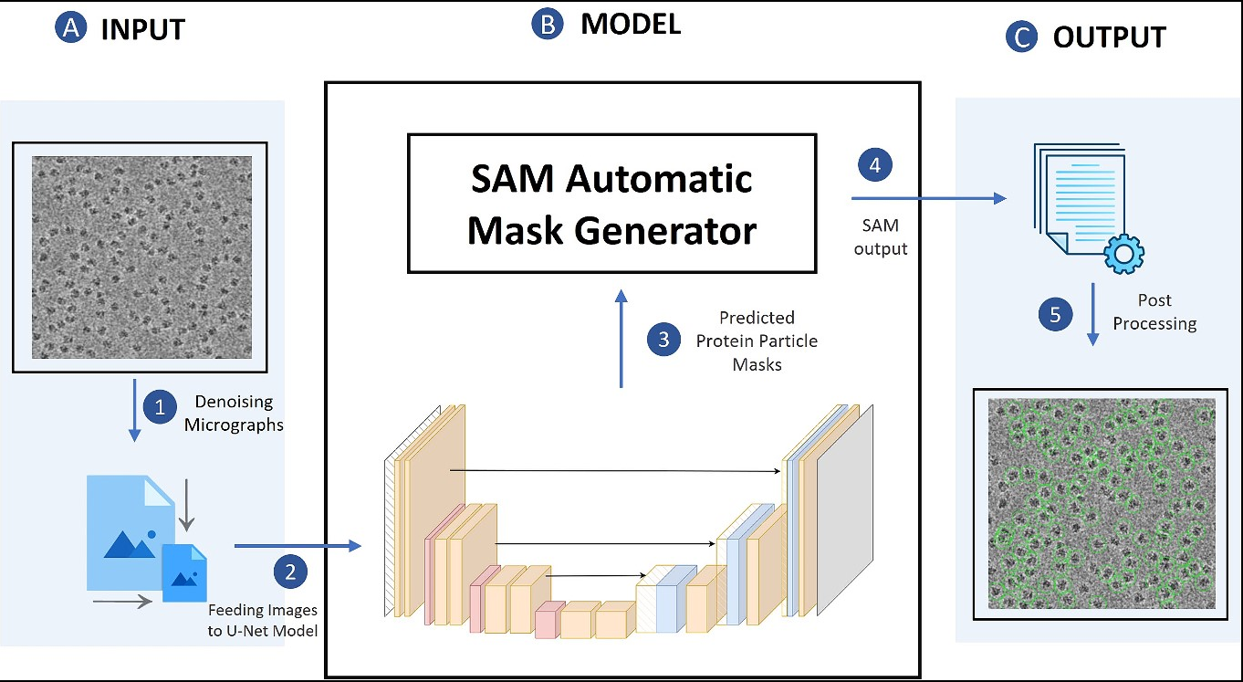 CryoSegNet Publication