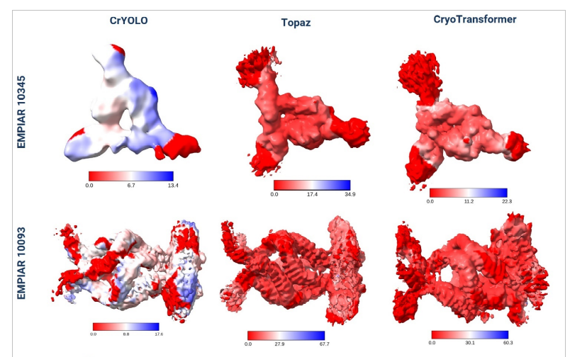CryoTransformer Publication