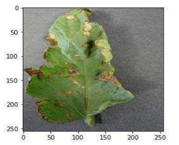 Plant Disease Detection Conference Publication