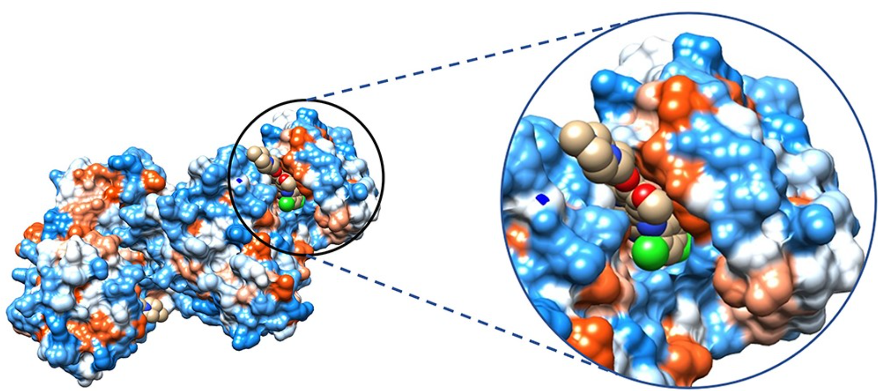 Protein-Ligand Interactions Publication