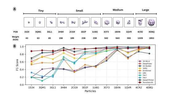 TomoSwin3D Publication